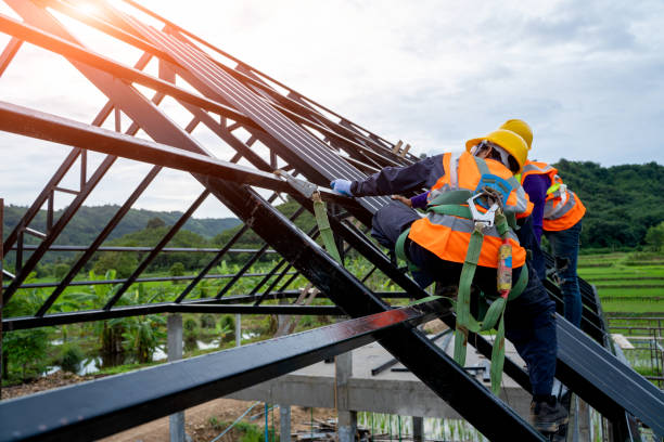 Best Roof Leak Repair  in Saint Johns University, MN