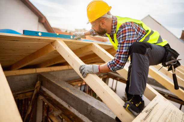 Best Commercial Roofing Services  in Saint Johns University, MN