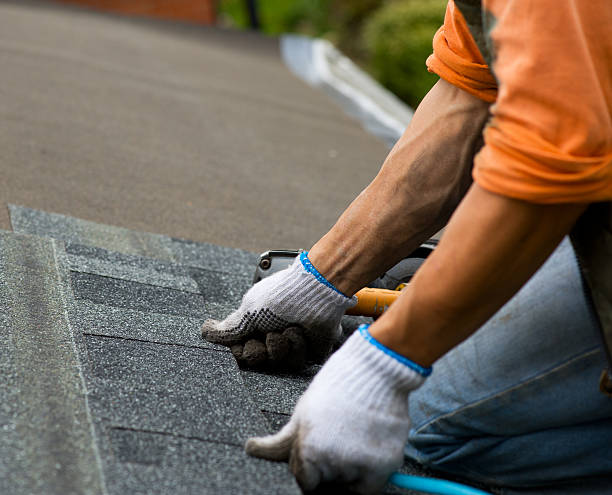 Best Local Roofing Companies  in Saint Johns University, MN
