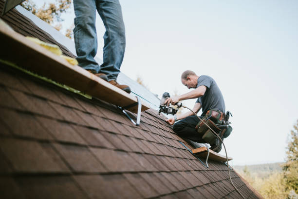 Best Storm Damage Roof Repair  in Saint Johns University, MN